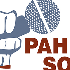 Pahlow's Socks Cover Art